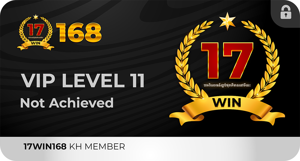 vip11
